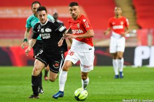 Boschilia arrive à Nantes !